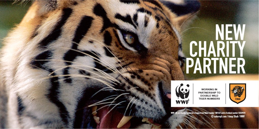 Hull city tiger 2024 kit